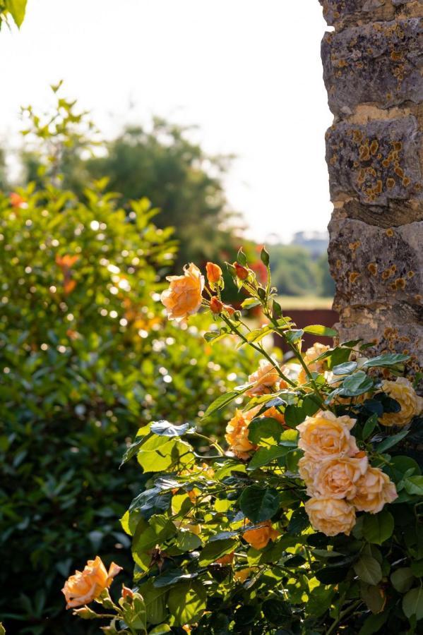 Les P'Tits Velos Bed & Breakfast Chandolas Bagian luar foto