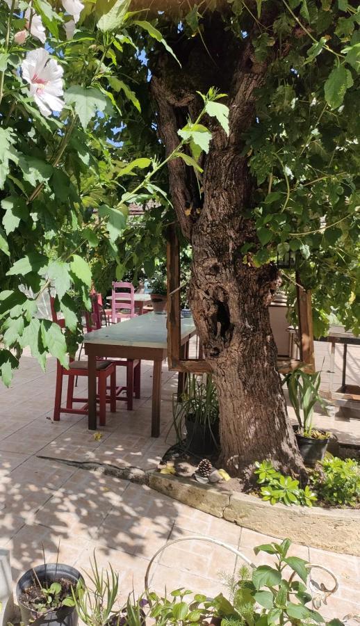 Les P'Tits Velos Bed & Breakfast Chandolas Bagian luar foto