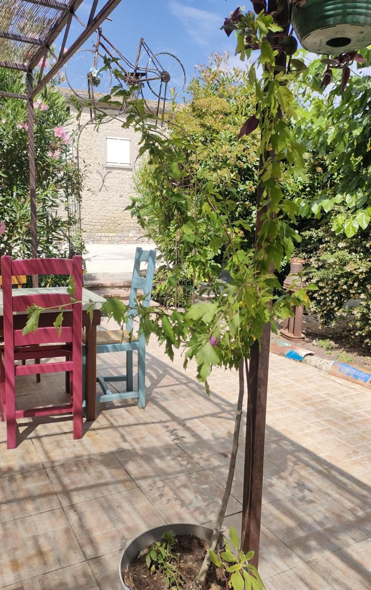 Les P'Tits Velos Bed & Breakfast Chandolas Bagian luar foto